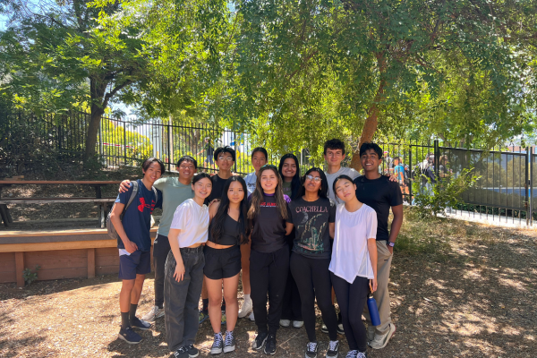 STRIDE students participating in ROPES course